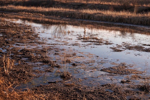 Vista del campo del río contaminado del pantano