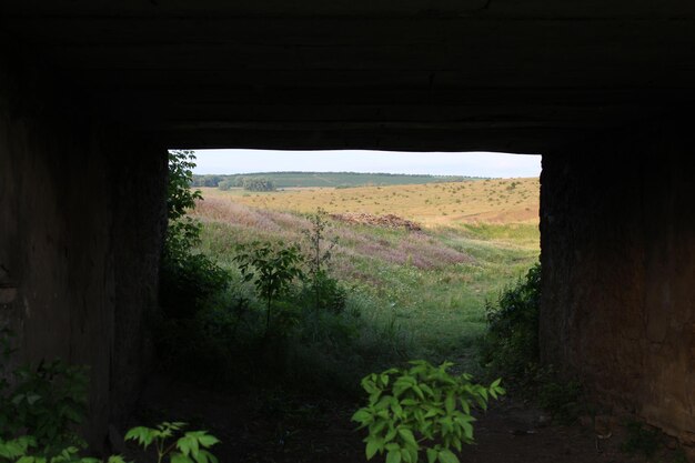 Una vista de un campo desde un túnel.