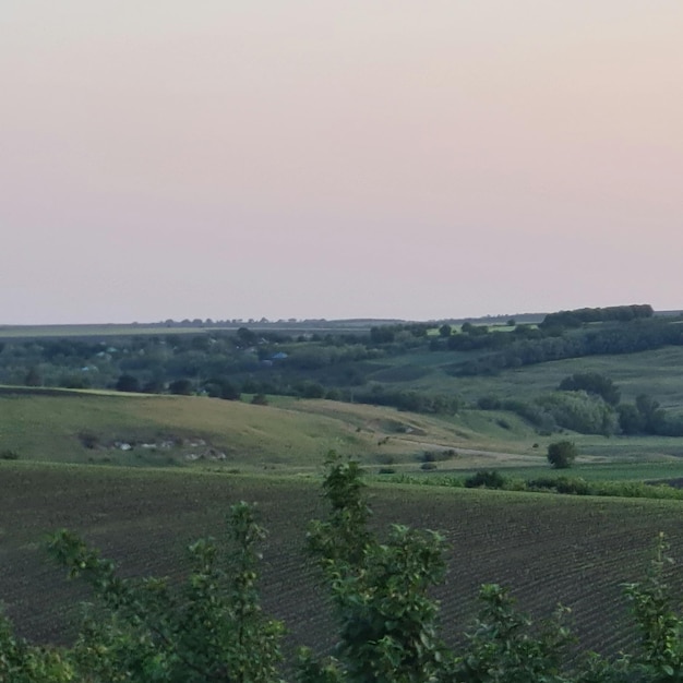 Una vista de los campos y campos del pueblo de sauvignon.