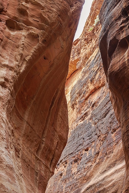 Vista del cañón y las altas paredes sinuosas de la montaña del cañón Petra Jordan