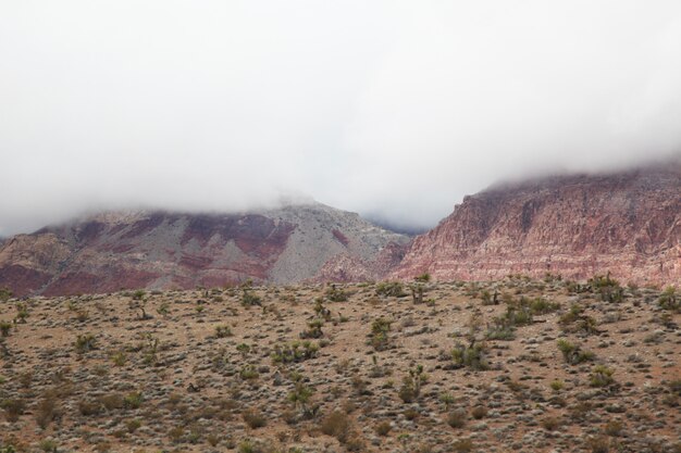 Vista del cañón de roca roja en el día de niebla en Nevada, Estados Unidos