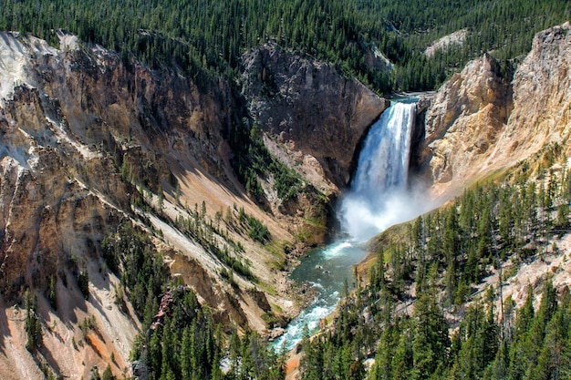 Vista del cañón de Yellowstone con caída y río