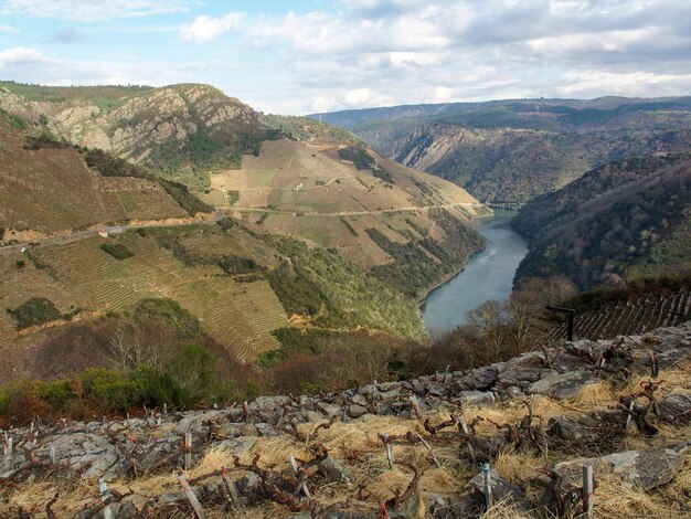 Vista de los cañones del río Sil Ribeira Sacra Galicia España