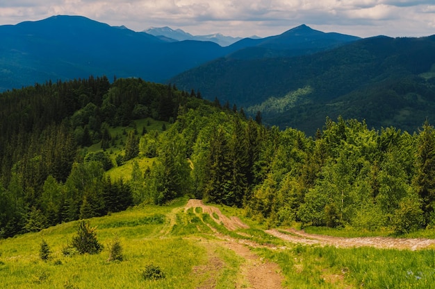 Vista de los Cárpatos ucranianos. Foto de naturaleza y montañas de verano.