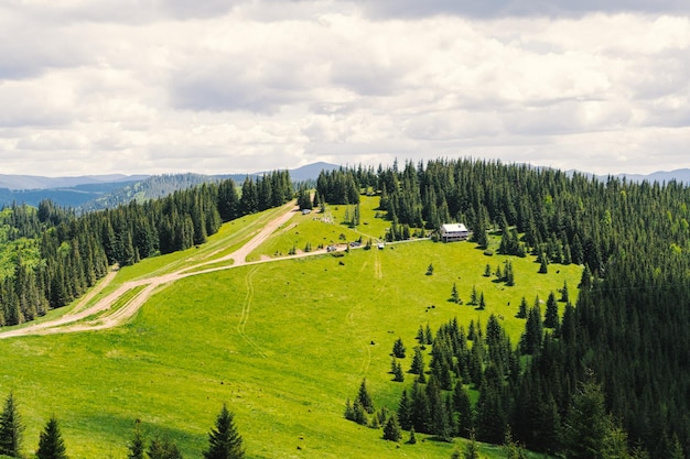 Vista de los Cárpatos ucranianos. Foto de naturaleza y montañas de verano.