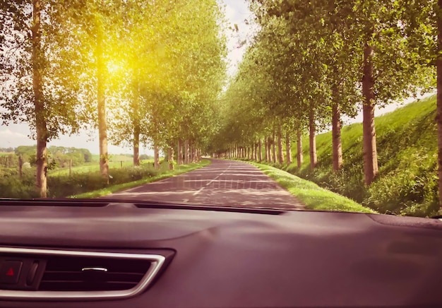 Foto vista de la carretera y el bosque a través del parabrisas del coche su