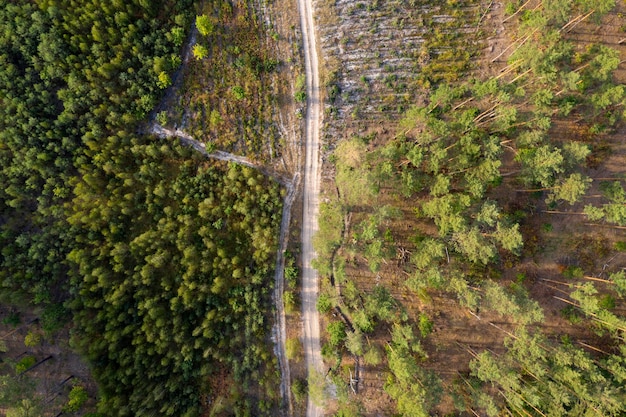 vista de la carretera rural desde arriba vista aérea