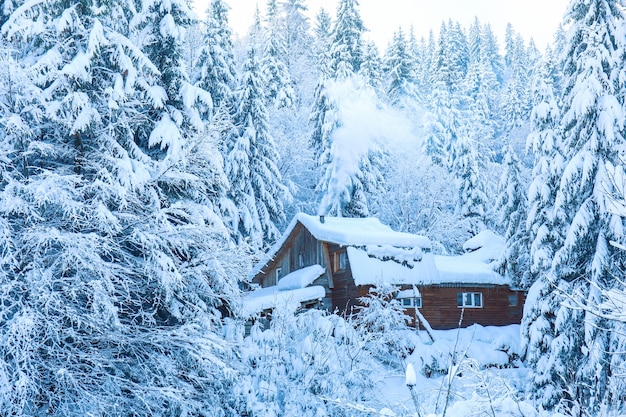Vista de la casa de madera en el bosque de abetos nevados