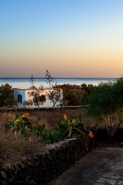 Vista de casa típica de Linosa rodeada de vegetación mediterránea