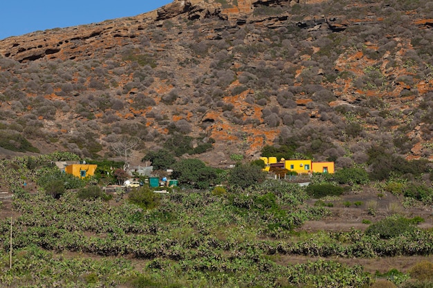 Vista de casas coloridas típicas de Linosa en el campo