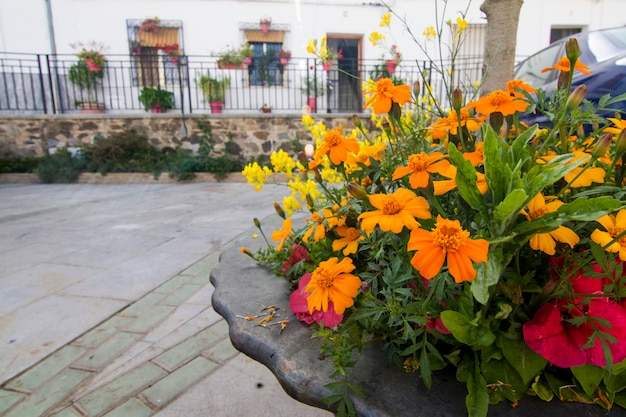 Vista de las casas típicas de la ciudad española de sanlúcar.