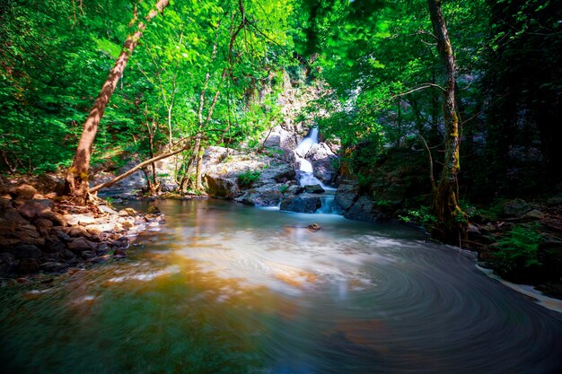 Foto vista de la cascada en el bosque erikli cascada yalova