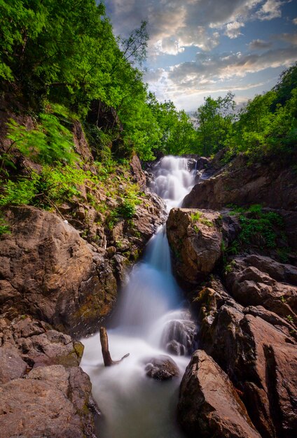Foto vista de la cascada en el bosque erikli cascada yalova