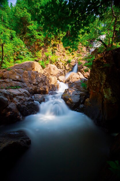 Foto vista de la cascada en el bosque erikli cascada yalova