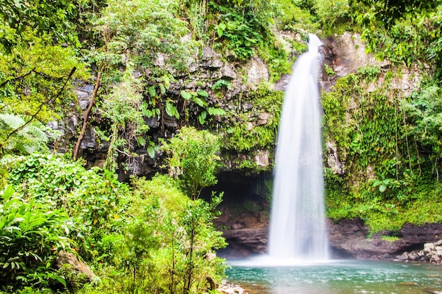 Foto vista de una cascada en el bosque