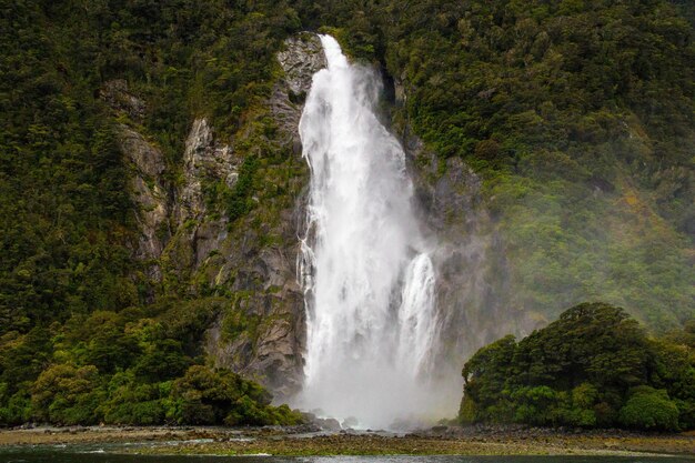 Foto vista de una cascada en el bosque