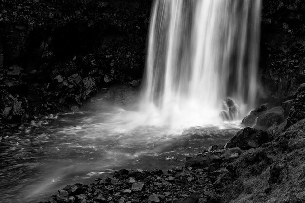 Vista de una cascada en el bosque