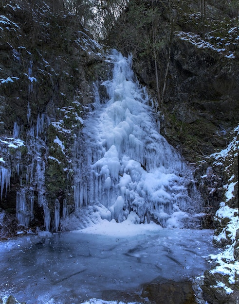 Foto vista de una cascada en el bosque