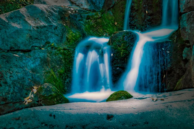 Foto vista de una cascada en el bosque