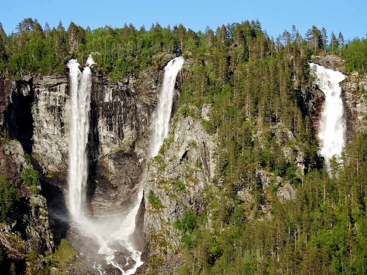 Foto vista de una cascada en el bosque