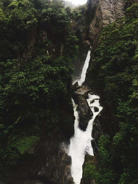 Foto vista de una cascada en el bosque