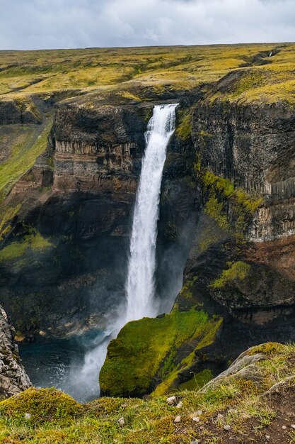 Vista de una cascada en el bosque