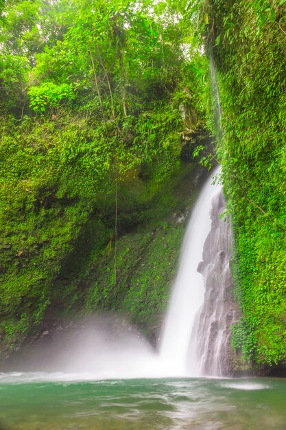 Una vista de una cascada de cámara lenta con paredes verdes en un bosque tropical