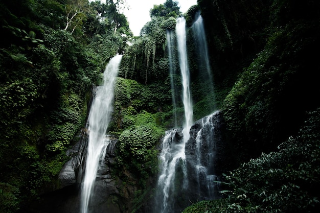 Vista de la cascada de la cascada de la selva en la selva tropical