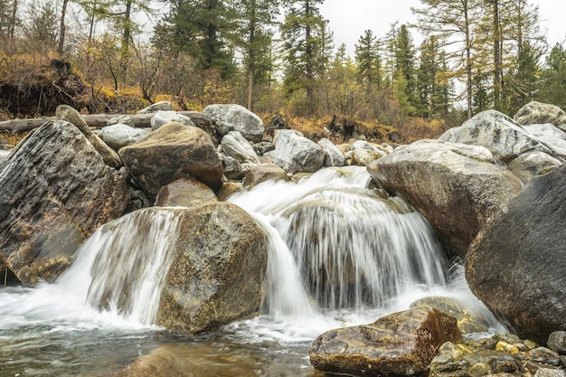 Vista de una cascada de montaña en el bosque de otoño brumoso La belleza de la vida silvestre