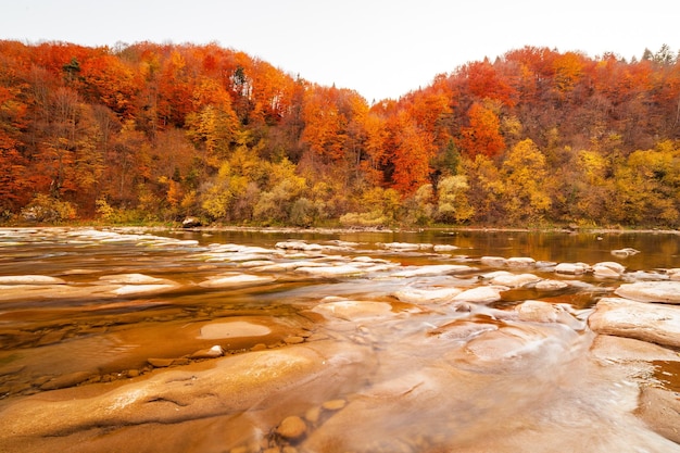 Vista de la cascada en otoño Cascada en colores otoñales Río de montaña en el paisaje otoñal Ucrania río Stryj