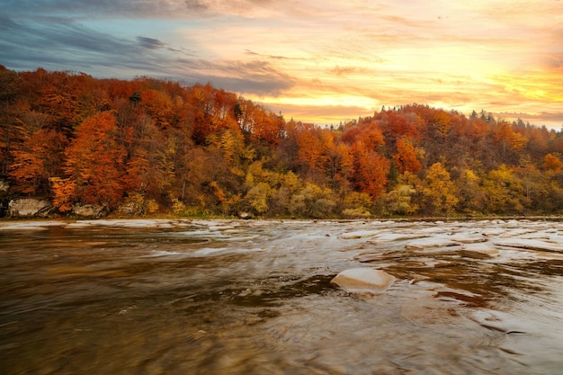 Vista de la cascada en otoño Cascada en colores otoñales Río de montaña en el paisaje otoñal Ucrania río Stryj