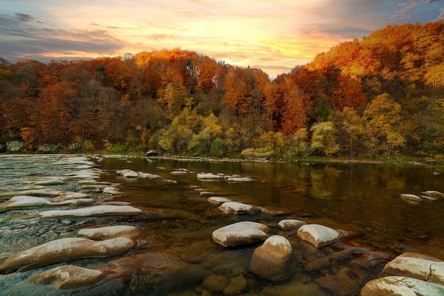 Vista de la cascada en otoño Cascada en colores otoñales Río de montaña en el paisaje otoñal Ucrania río Stryj