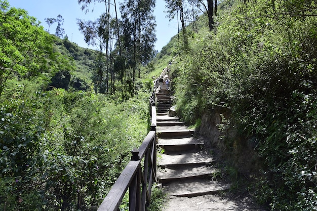 Vista de la cascada de Peguche en las montañas Está rodeada de un bosque verde lleno de vegetación Ecuador