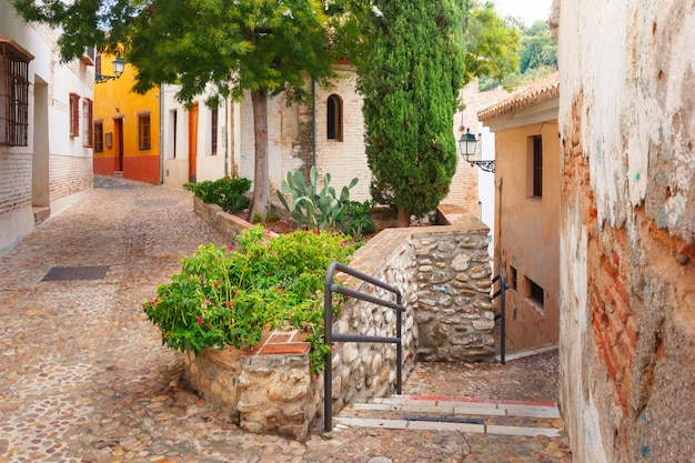 Vista del casco antiguo, Granada, Andalucía, España