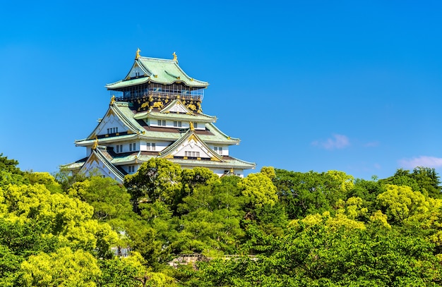 Foto vista del castillo de osaka en osaka, japón