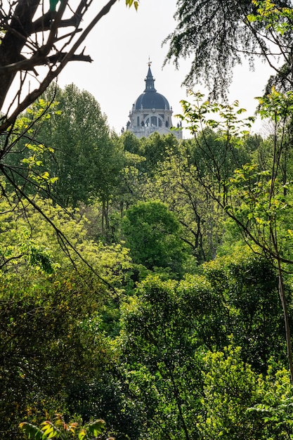 Foto vista de la catedral de la almudena desde los árboles en la capital española, madrid