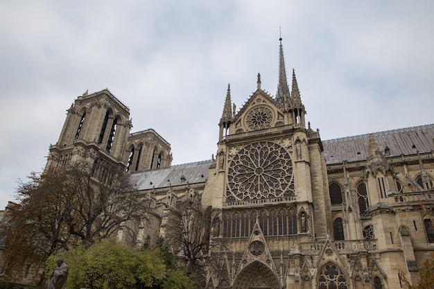 Vista de la catedral de notrame en París antes de que se incendiara