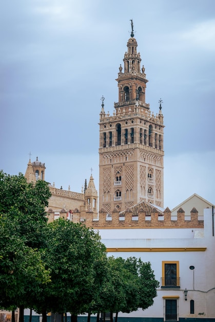 Vista de la Catedral de Sevilla La Giralda
