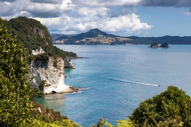 Vista hacia Cathedral Cove