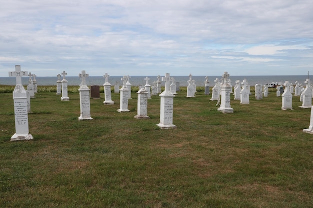 Vista del cementerio contra el cielo