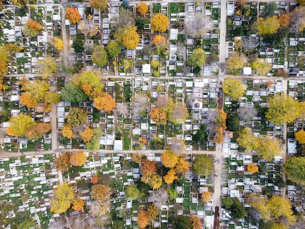 Vista de un cementerio con muchas tumbas y árboles amarillentos desde el zumbido, vista superior, Bucarest, Rumania