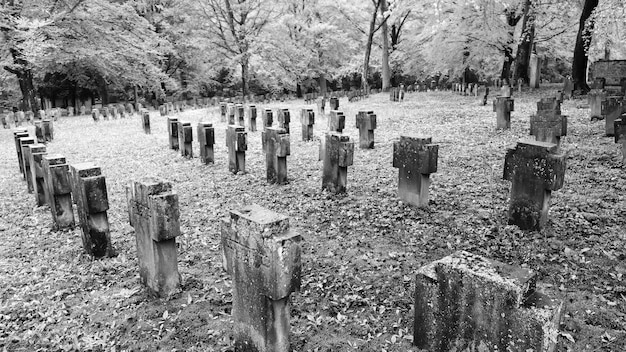 Foto vista del cementerio