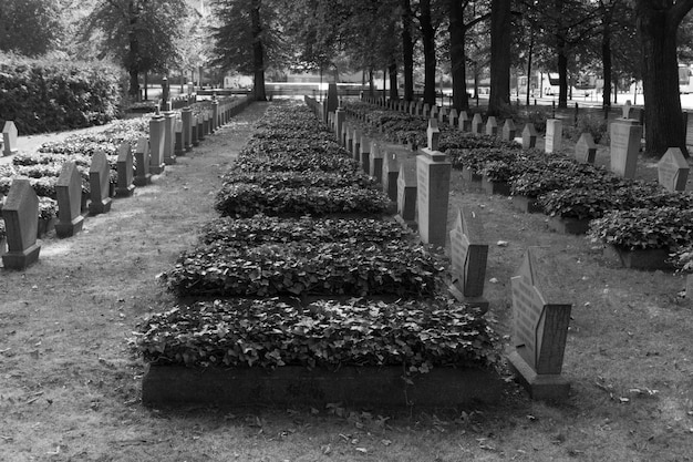 Vista del cementerio