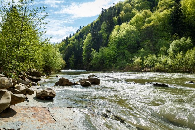 Vista cênica da primavera do rio Prut de fluxo rápido perto de Yaremche, na região dos Cárpatos, na Ucrânia Destinos de viagem e resorts naturais na Ucrânia