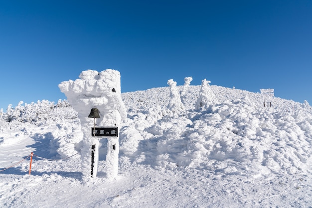 Vista cênico bonita da cimeira da montanha do zao, yamagata, tohoku, japão com neve na estação do inverno.