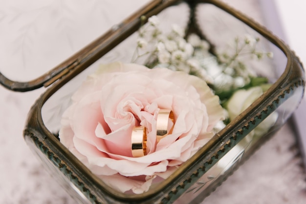 Vista de cerca de los anillos de boda de flores blancas en una caja rústica con plantas en el interior