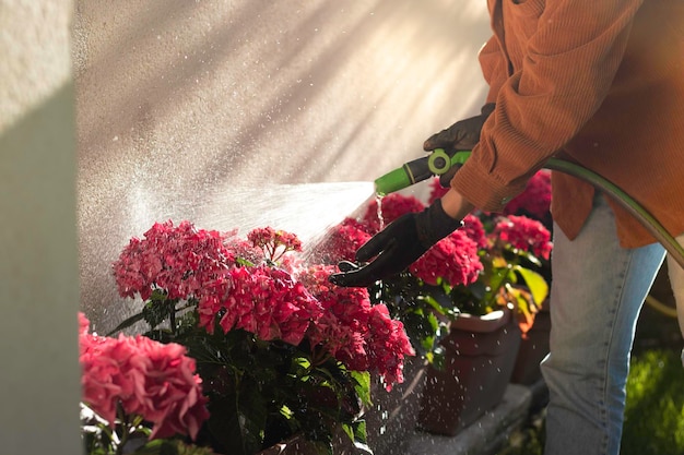 Vista de cerca del jardinero profesional que trabaja en un jardín casero regando las flores con una manguera