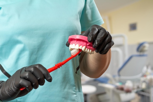 Vista de cerca de las manos del dentista con un diseño de mandíbula humana y un cepillo de dientes