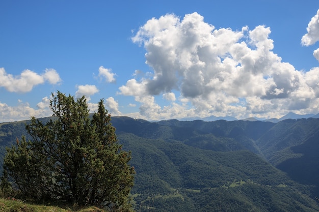 Vista de cerca de las montañas y escenas del valle en el parque nacional Dombai, Cáucaso, Rusia, Europa. Paisaje de verano, clima soleado, espectacular cielo azul y día soleado