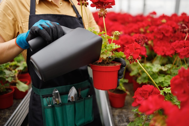 Vista de cerca de la mujer jardinero regando flores en invernadero